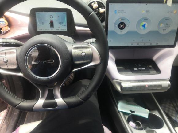 [嘉兴·浙F] 二手比亚迪海豚2021款 405km 时尚版