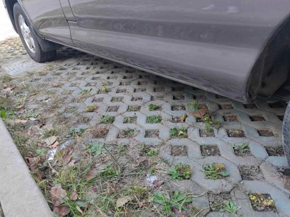 [上海·蒙A] 二手东风风行菱智2017款 M3L 1.6L 7座舒适型