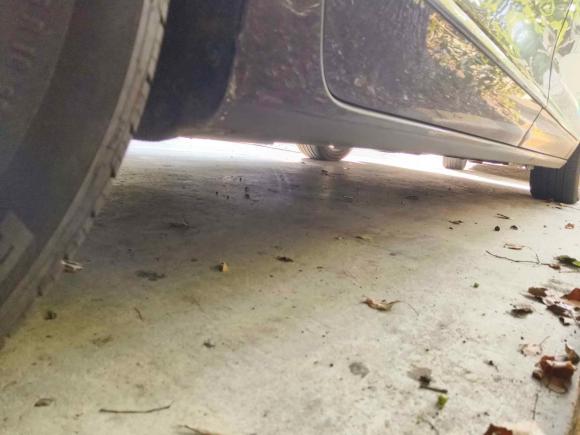 [上海·浙E] 二手别克别克GL82017款 28T Avenir艾维亚 国V