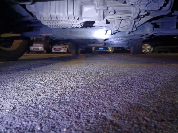 [佛山·粤X] 二手福特翼搏2016款 1.5L 自动运动典藏版