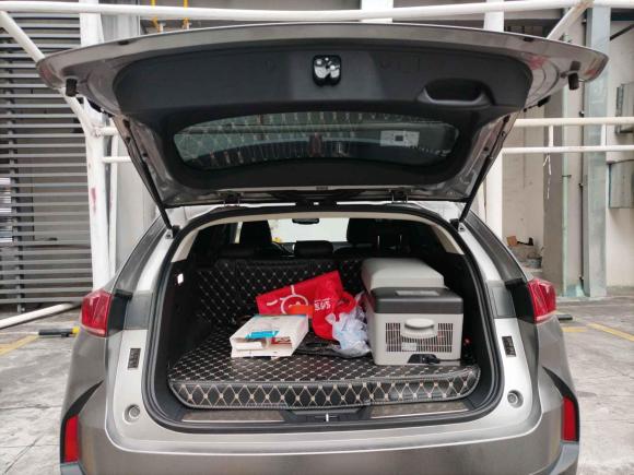 [佛山·粤C] 二手魏牌魏牌 P82018款 2.0T 尊贵型