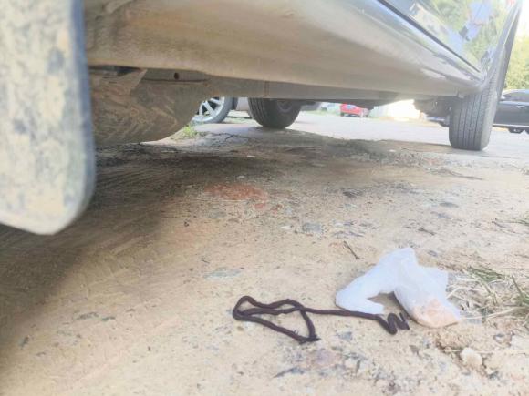 [青岛·鲁B] 二手长城风骏52021款 1.5T两驱干饭版超值型1820mm货箱GW4G15K