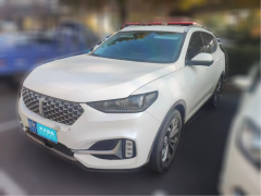 [南京·皖M] 魏牌魏牌VV62020款2.0T两驱智护+