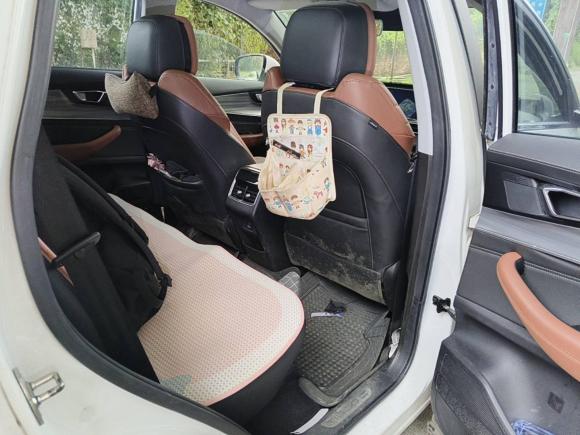 [广州·粤A] 二手奇瑞瑞虎8 PLUS2021款 290TGDI DCT豪耀版