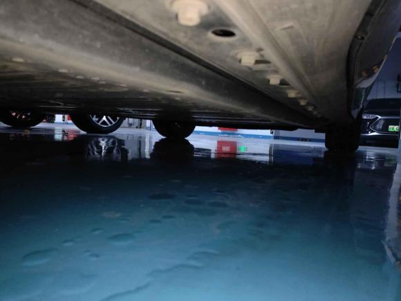 [上海·沪A] 二手福特福特电马2021款 无疆后驱豪华版(长续航)