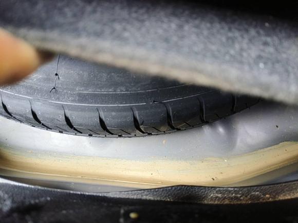 [西安·陕A] 二手福特福睿斯2019款 1.5L 自动悦享型