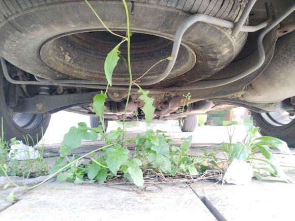 [芜湖·皖B] 二手三菱欧蓝德2016款 2.4L 四驱精英版 5座