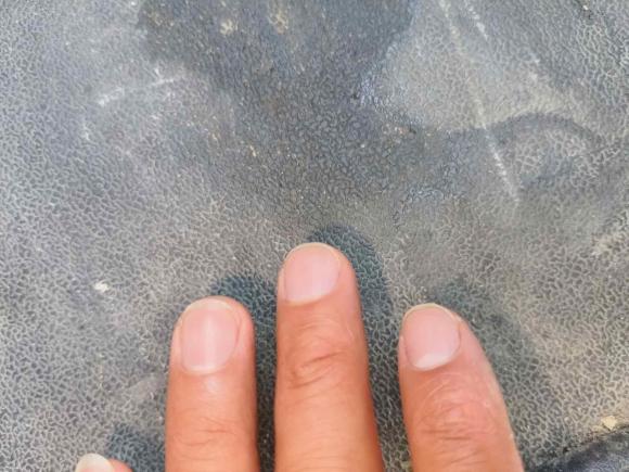 [合肥·皖A] 二手金杯金杯快运2017款 2.0L标准型V19