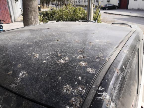 [北京·冀R] 二手五菱汽车宏光MINIEV2021款 马卡龙臻享款 三元锂