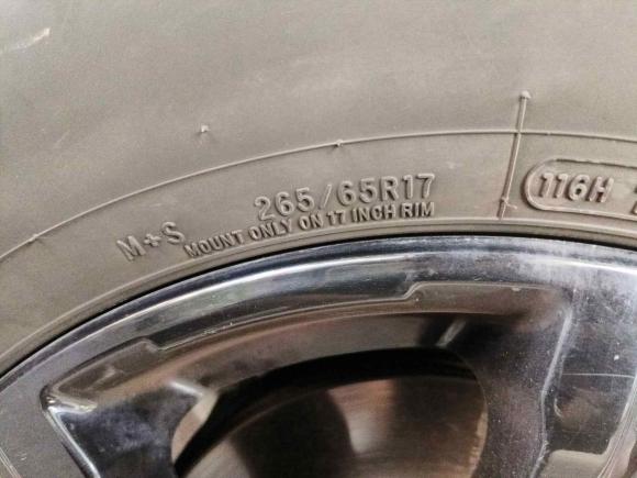 [西安·陕U] 二手坦克坦克3002021款 越野版 2.0T 挑战者