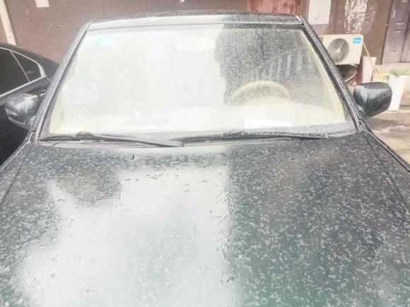 [南昌·赣A] 二手江铃宝典2015款 2.8T新超值柴油两驱舒适版JX493ZLQ4F