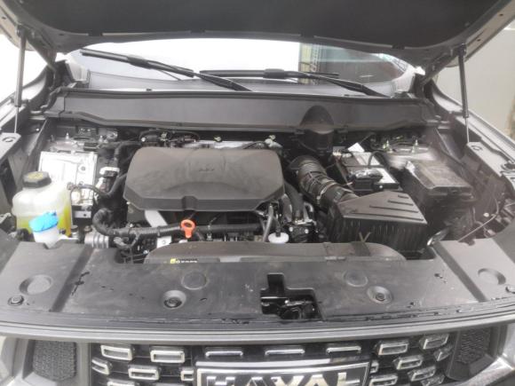 [嘉兴·浙F] 二手哈弗哈弗二代大狗2023款 2.0T 两驱潮野版Plus