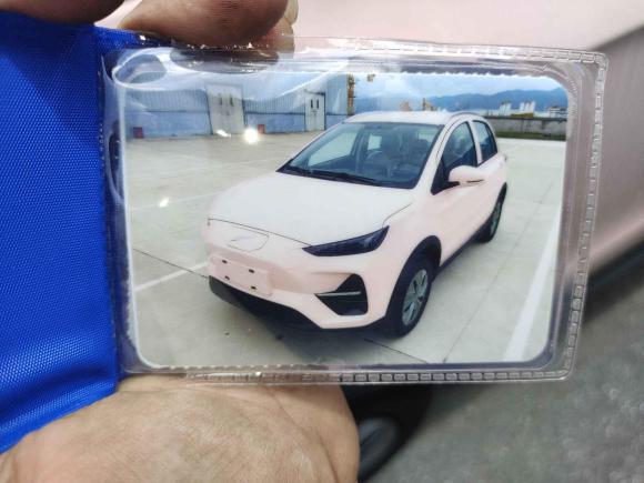 [上海·闽B] 二手云度云兔2023款 320km 灵动款