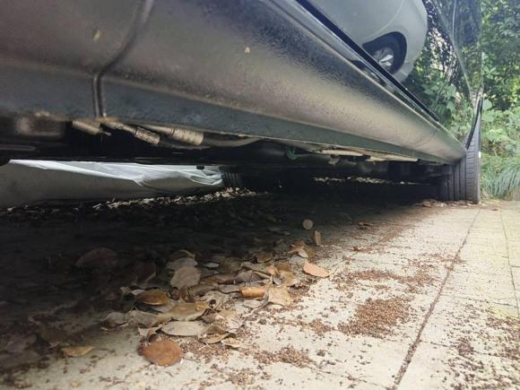 [杭州·浙A] 二手奔驰威霆2021款 2.0T 精英版 7座