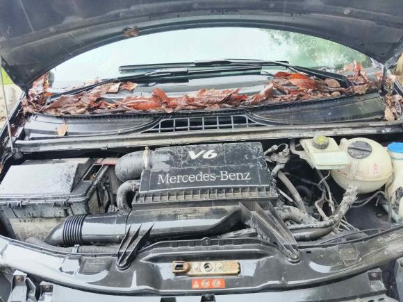 [温州·浙C] 二手奔驰唯雅诺2010款 2.5L 尊贵版