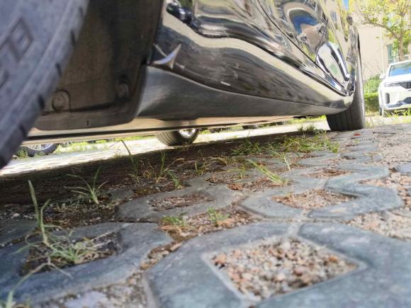 [上海·沪A] 二手特斯拉Model 32021款 标准续航后驱升级版