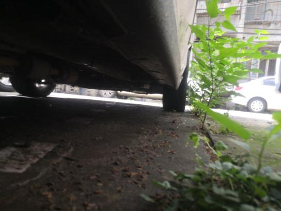 [武汉·鄂A] 二手起亚秀尔2010款 1.6L MT GLS