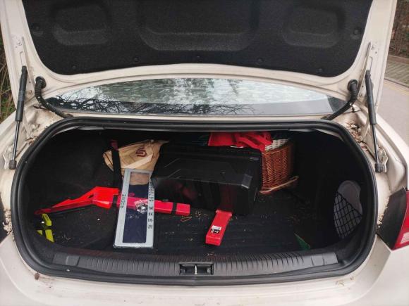 [上海·沪L] 二手荣威荣威e5502016款 尊享版