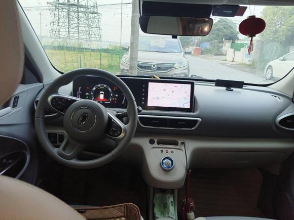 [杭州·粤B] 二手欧拉欧拉白猫2020款 401km 旗舰型