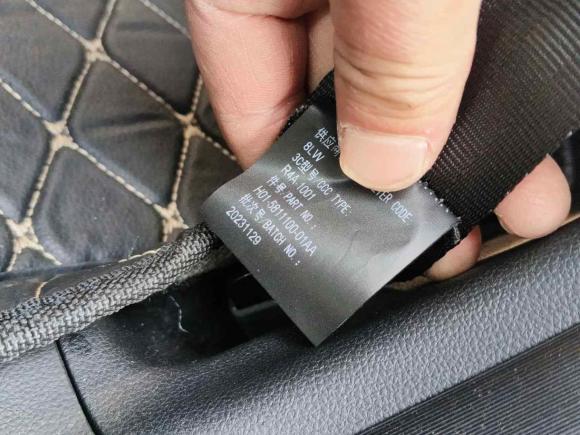 [无锡·苏B] 二手凯翼凯翼拾月2023款 301km 追风版