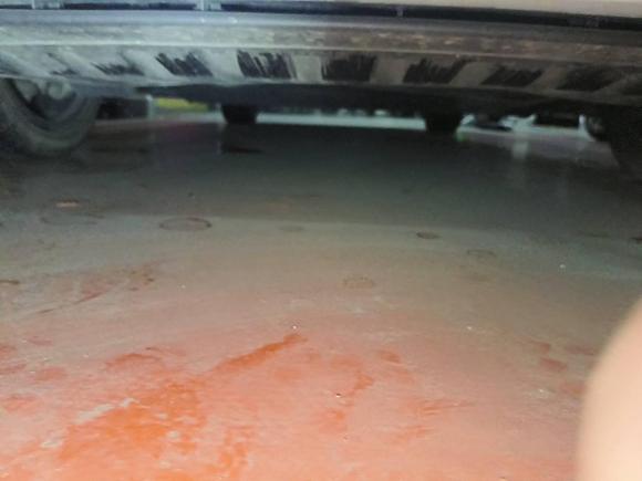 [嘉兴·浙F] 二手捷豹捷豹XEL2020款 2.0T 200PS S进取优雅版