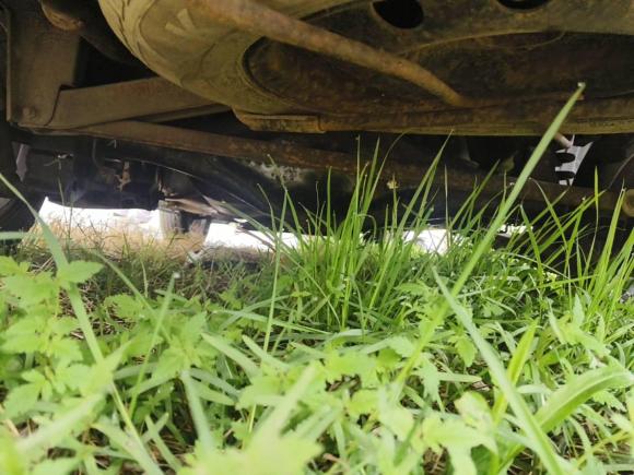 [上海·豫D] 二手五菱汽车五菱宏光2015款 1.5L S1舒适国V