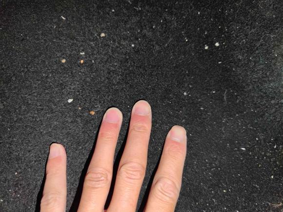 [合肥·皖A] 二手长安逸动新能源2022款 EV460 智行网约版 磷酸铁锂