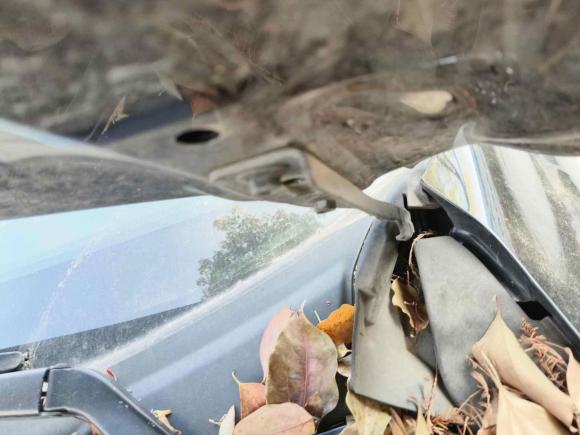 [温州·浙C] 二手本田雅阁2016款 2.0L 舒适版