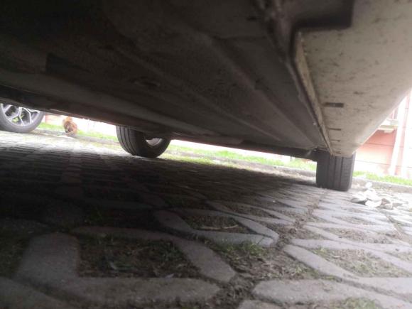 [无锡·苏B] 二手日产轩逸2009款 1.6XL 自动豪华天窗版