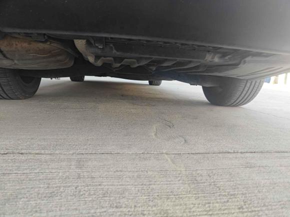 [北京·京P] 二手大众迈腾2009款 2.0TSI DSG舒适型