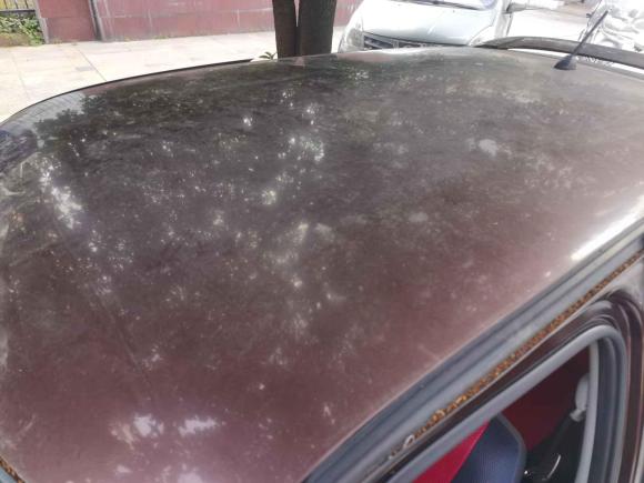 [温州·浙C] 二手铃木雨燕2013款 1.5L 自动标准版