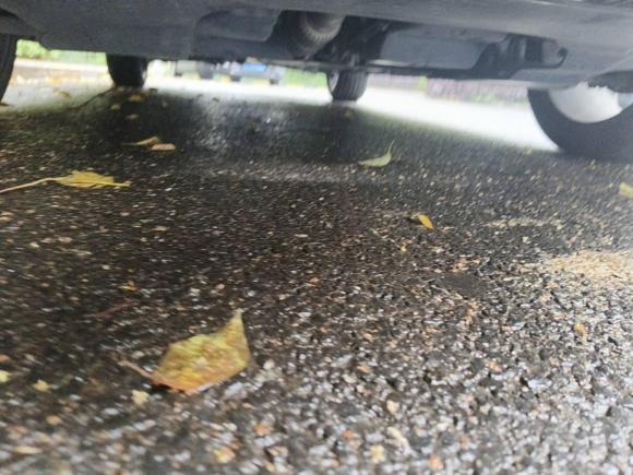 [杭州·浙B] 二手名爵MG62021款 Pro 1.5T 自动Trophy旗舰版