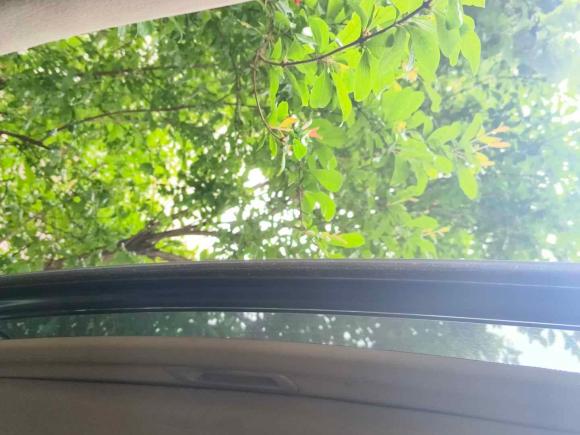 [湖州·浙E] 二手本田奥德赛2008款 2.4L 舒适版