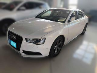奥迪奥迪A52012款2.0TFSISportback