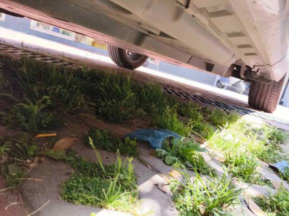 [西安·陕U] 二手丰田威飒2023款 2.0L CVT两驱尊贵版