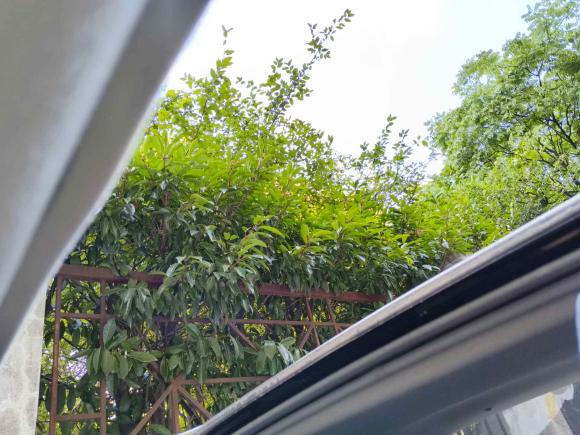 [上海·沪B] 二手马自达马自达62015款 2.0L 自动豪华型