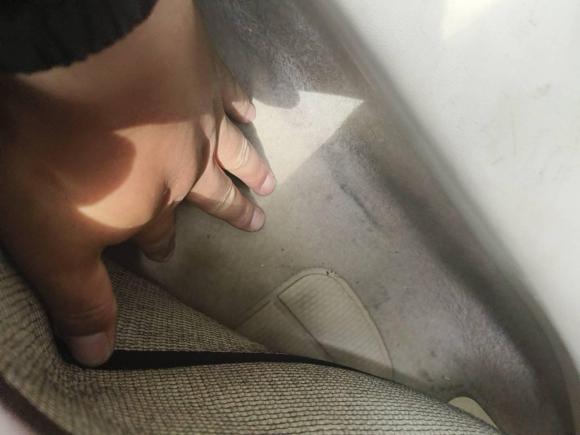 [常州·苏D] 二手斯柯达明锐2010款 1.6L 自动逸俊版