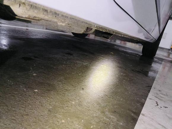 [上海·沪A] 二手别克别克GL82022款 陆上公务舱 652T 豪华型