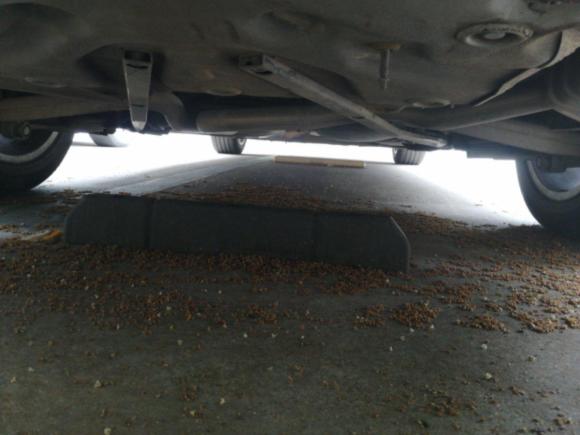 [上海·浙C] 二手奥迪奥迪A6L2014款 TFSI 标准型