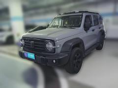 [深圳·粤S] 坦克坦克3002024款 2.0T 征服者