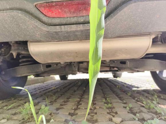 [苏州·苏U] 二手丰田丰田C-HR2020款 2.0L 领先版