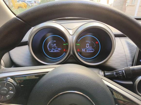 [杭州·浙A] 二手欧拉欧拉黑猫2021款 301km 基础型