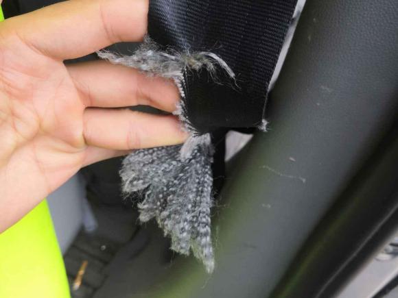 [成都·川A] 二手福田图雅诺2019款 2.5T E7（5.6米）6座4J25TC3