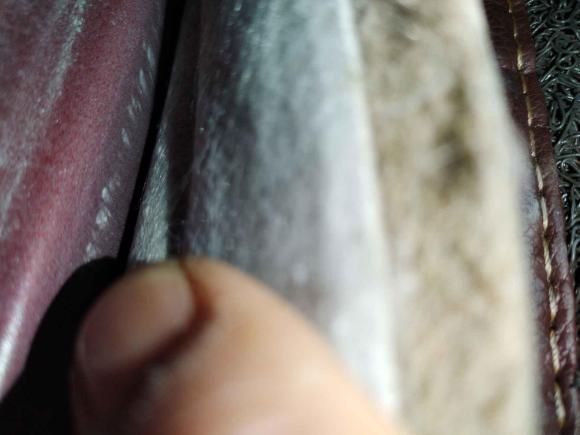 [芜湖·皖B] 二手丰田卡罗拉2011款 1.6L 自动GL