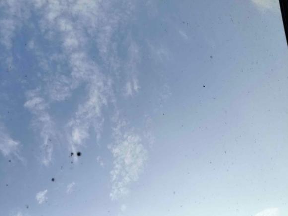 [西安·陕A] 二手日产逍客2019款 2.0L CVT豪华版