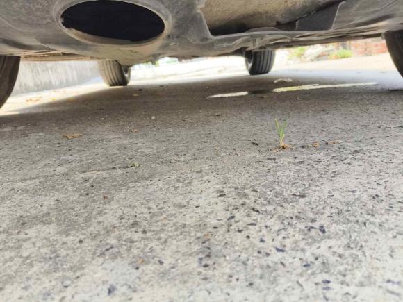 [上海·贵C] 二手东南东南DX72015款 1.5T 自动豪华型