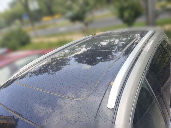 [无锡·苏B] 二手林肯林肯MKX2015款 2.0T 两驱尊享版