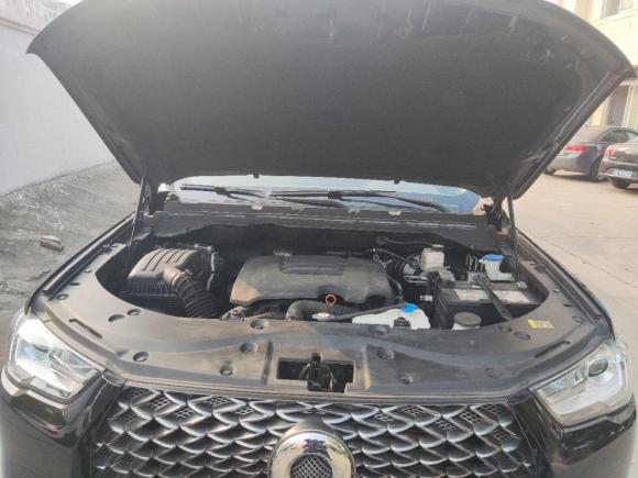 [苏州·苏U] 二手长城炮2019款 2.0T商用版自动汽油两驱精英型长箱GW4C20B