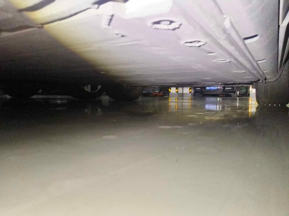 [杭州·浙A] 二手smartsmart精灵#12022款 Premium版