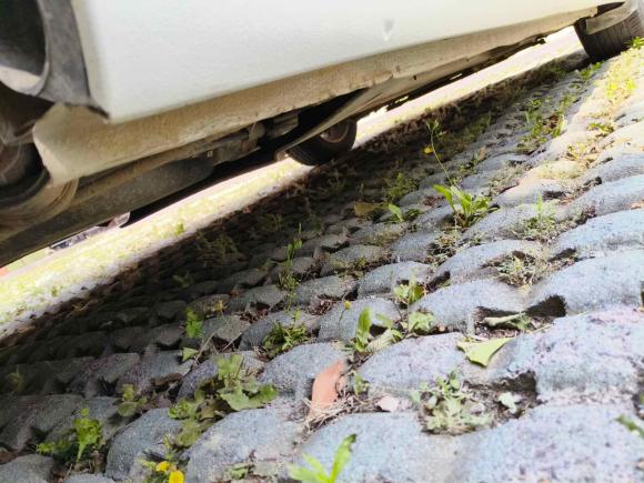 [青岛·鲁B] 二手雪铁龙世嘉2016款 经典 三厢 1.6L 手动品尚型